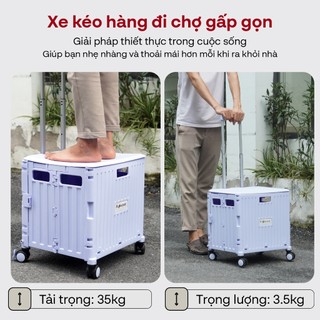 Xe kéo đi chợ gấp gọn FUJIHOME PT- 45F tải trọng 35kg, có khóa bánh xe, chất liệu nhựa pp cao cấp