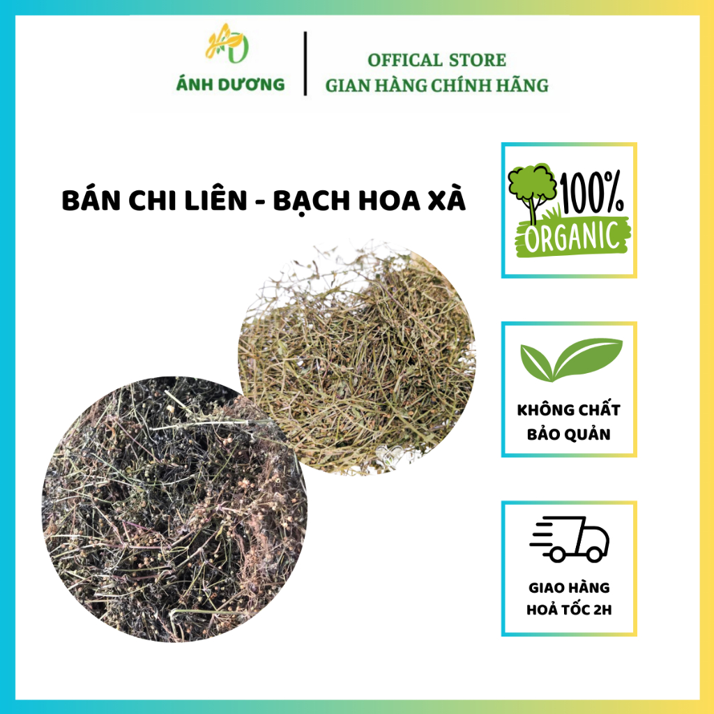 Combo Bán Chi Liên - Bạch Hoa Xà Cải Thiện Sức Khoẻ