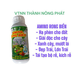 Phân bón vi lượng AMINO RONG BIỂN chai 500 ml. Kích rễ, Mập đọt, Xanh lá, Tốt trái, Hạ Phèn, Giải độc cho cây