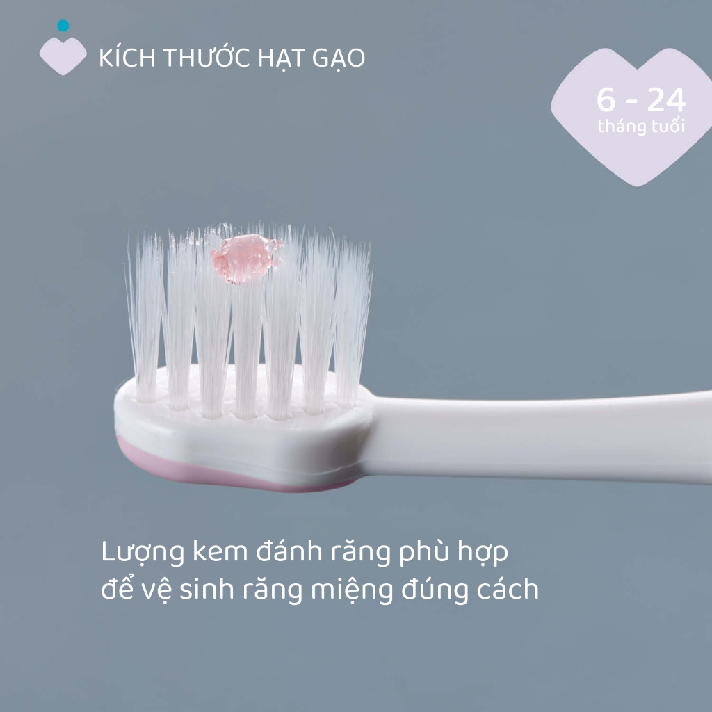 Bàn chải đánh răng Tím hồng/Xanh biển Chicco 6-36M