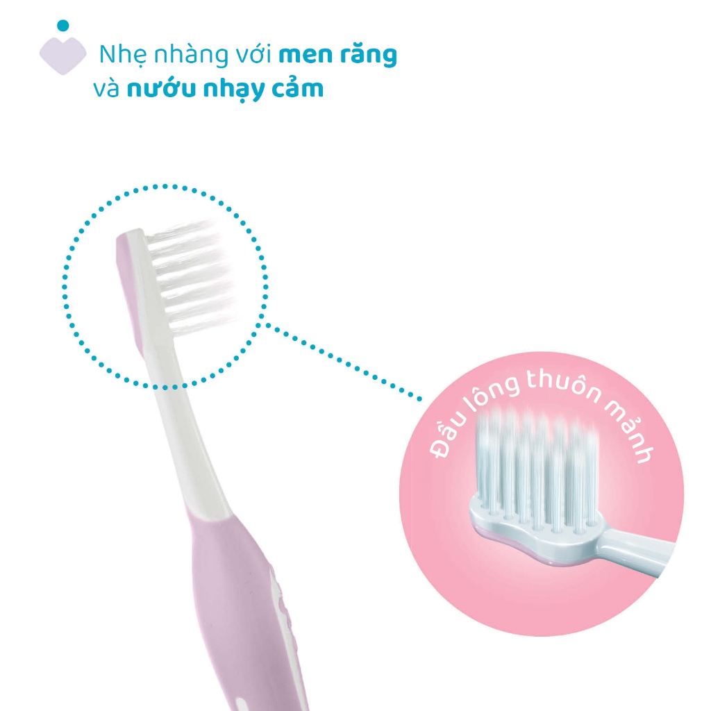 Bàn chải đánh răng Tím hồng/Xanh biển Chicco 6-36M