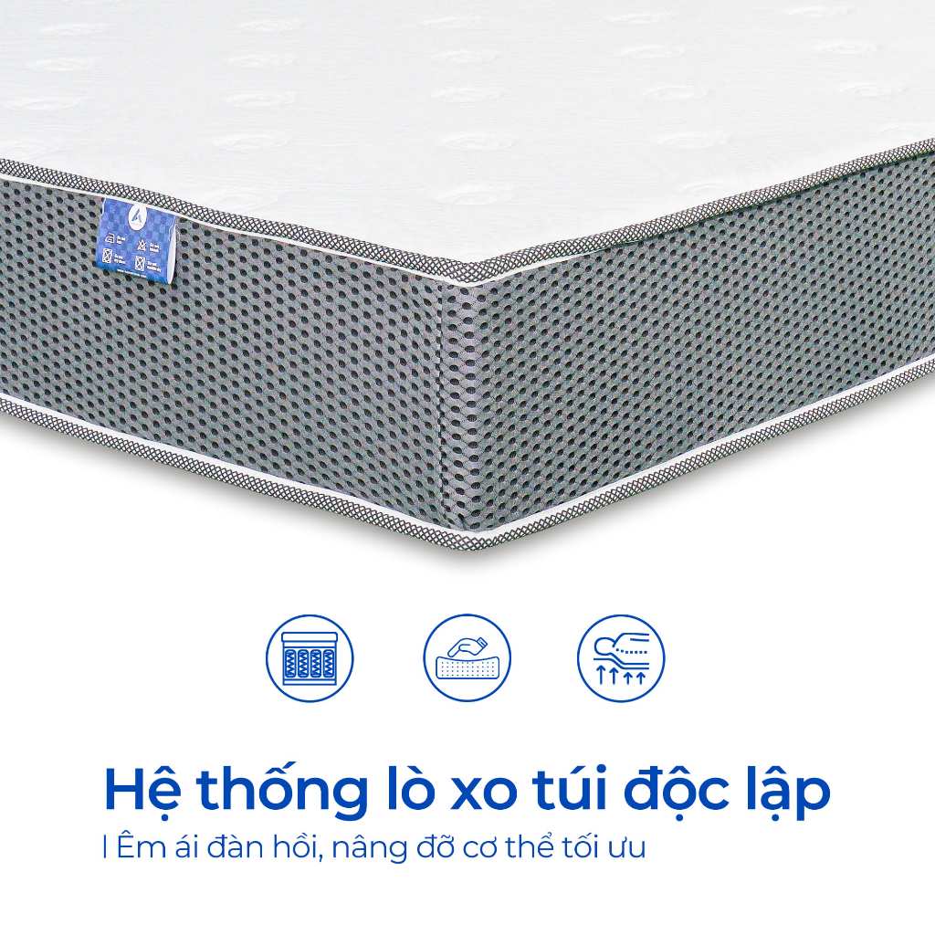 Ảnh Nệm Lò Xo Túi Độc Lập Aroma Cool Coil 2 Viền, Chính Hãng, Bảo Hành 10 Năm 3