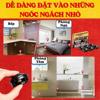 Thuốc Diệt Gián Nhật Bản 12 Viên An Toàn Hiệu Quả Cho Con Người Và Vật Nuôi