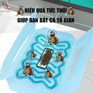 Bẫy gián Nhât Bản 5 cái diệt gián an toàn , hiệu quả tức thời, bấy dính gián