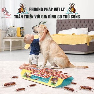 Bẫy gián Nhât Bản 5 cái diệt gián an toàn , hiệu quả tức thời, bấy dính gián