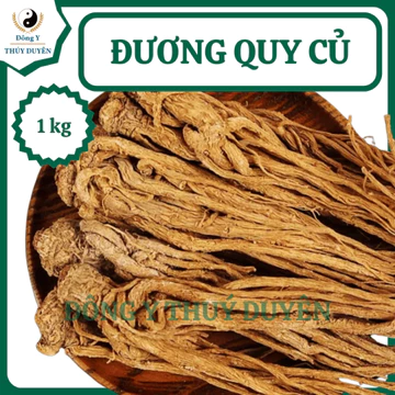 Đương Quy Củ 1kg | Loại 1 - Sâm Đương Quy, Quy Ngố Củ To, Khô, Sạch