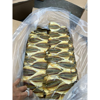 Cá chỉ vàng dày thịt loại 1 thơm ngon 1kg