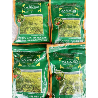 Trà Gai leo túi lọc dược liệu Pù Mát túi Zip 250g
