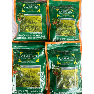 Trà Gai leo túi lọc dược liệu Pù Mát túi Zip 250g