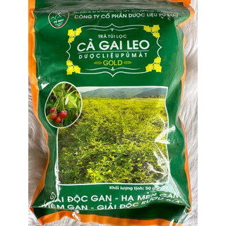 Trà Gai leo túi lọc dược liệu Pù Mát túi Zip 250g
