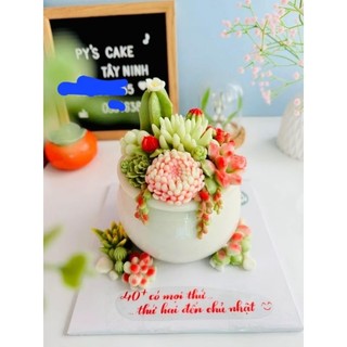 set hoa cúc cánh nhọn