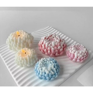 set hoa cúc cánh nhọn