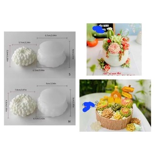 set hoa cúc cánh nhọn