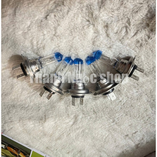 bóng h7 hcl điện 12v và 24v, bóng đèn pha oto