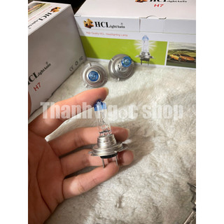 bóng h7 hcl điện 12v và 24v, bóng đèn pha oto