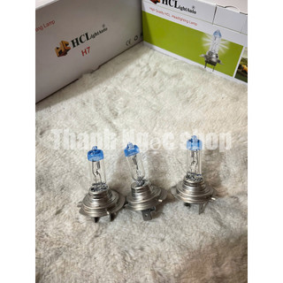 bóng h7 hcl điện 12v và 24v, bóng đèn pha oto