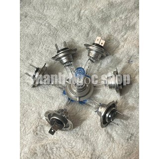 bóng h7 hcl điện 12v và 24v, bóng đèn pha oto