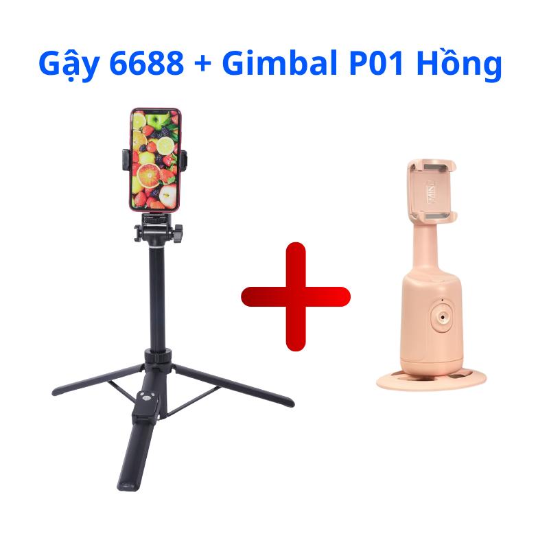 [HCM]Combo Gậy Chụp Ảnh Yunteng VCT-6688 Và Gimbal Xoay Tự Động 360° - Phân Loại P01/P02/Q02