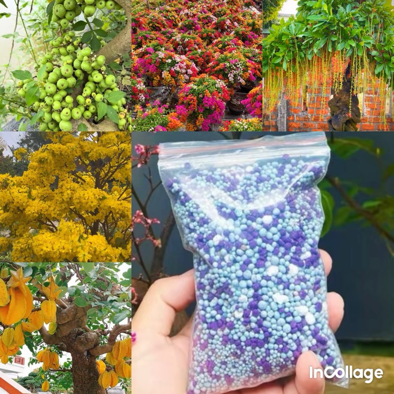 3 gói 500g  phân mix siêu kích hoa  và quả