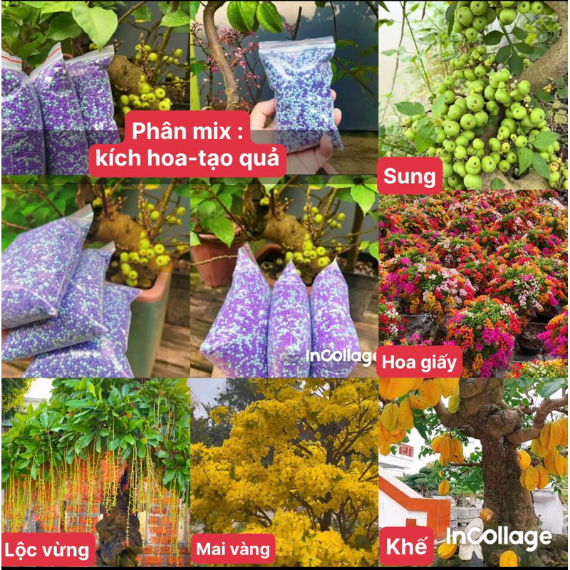 3 gói 500g  phân mix siêu kích hoa  và quả