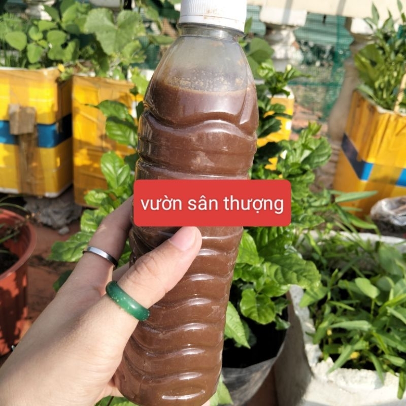 1 Lít Dịch Chuối, Thầ.n Dư.ợc Tăng Kali Cho Lan, Củ Quả, Hoa Hồng, Đồ Tự Ủ Bằng V.i Si.nh Có Lợi