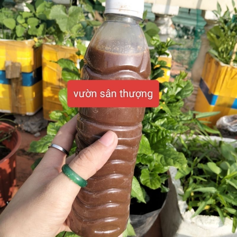 1 Lít Dịch Chuối, Thầ.n Dư.ợc Tăng Kali Cho Lan, Củ Quả, Hoa Hồng, Đồ Tự Ủ Bằng V.i Si.nh Có Lợi