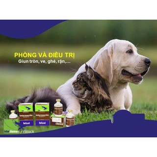 Thuốc thú y INTERMECTIN 100ml và 50ml tẩy giun sán ve ghẻ rận cho chó mèo heo gia súc Interchemie