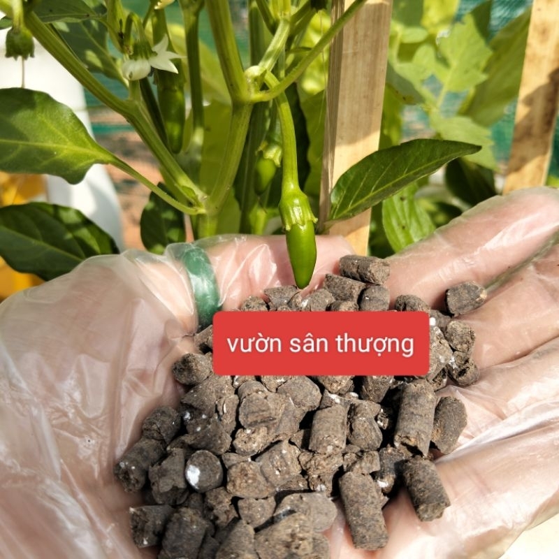 Túi 5kg Phân Gà Hữu Cơ Nhật Viên Nén Bón Hoa Hồng, Rau Củ Quả Cây Cảnh... chia lẻ từ bao 15kg