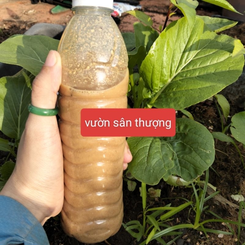Dịch Bánh Dầu (350ml), Phân Đậu Phộng Xanh Lá, Bén Rễ