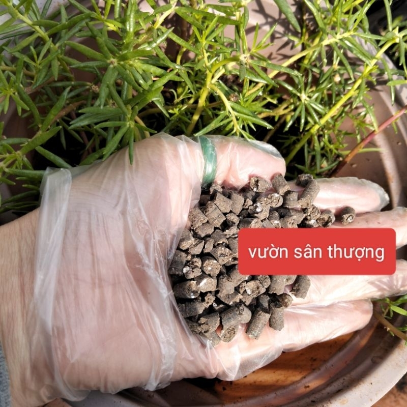 Túi 5kg Phân Gà Hữu Cơ Nhật Viên Nén Bón Hoa Hồng, Rau Củ Quả Cây Cảnh... chia lẻ từ bao 15kg