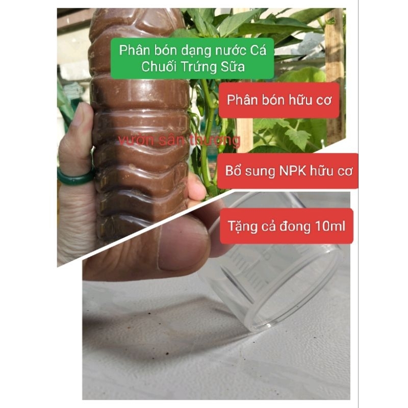 Phân Bón Hữu Cơ Đạm Cá Chuối Trứng Sữa (350ml) Tặng Cốc 10ml, Bén Rễ, Xanh Lá, Bật Mầm, Đậu Quả Rau Củ, Quả, Hoa, Cây