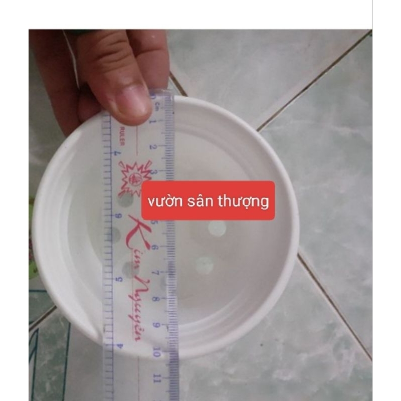 Set 10 Chậu Nhựa Pp (105×80 mm) Ươm Cây, Trồng sen, Trồng Hoa, Chất Lượng Cao, Miệng Vành Cứng