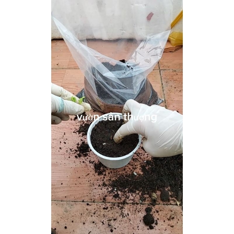 Đất Trồng Cây Chuyên Dụng 5kg- tặng kèm 1 gói hạt ngẫu nhiên
