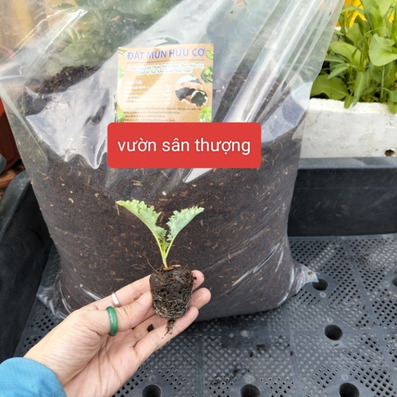 Đất Trồng Cây Chuyên Dụng 5kg- tặng kèm 1 gói hạt ngẫu nhiên