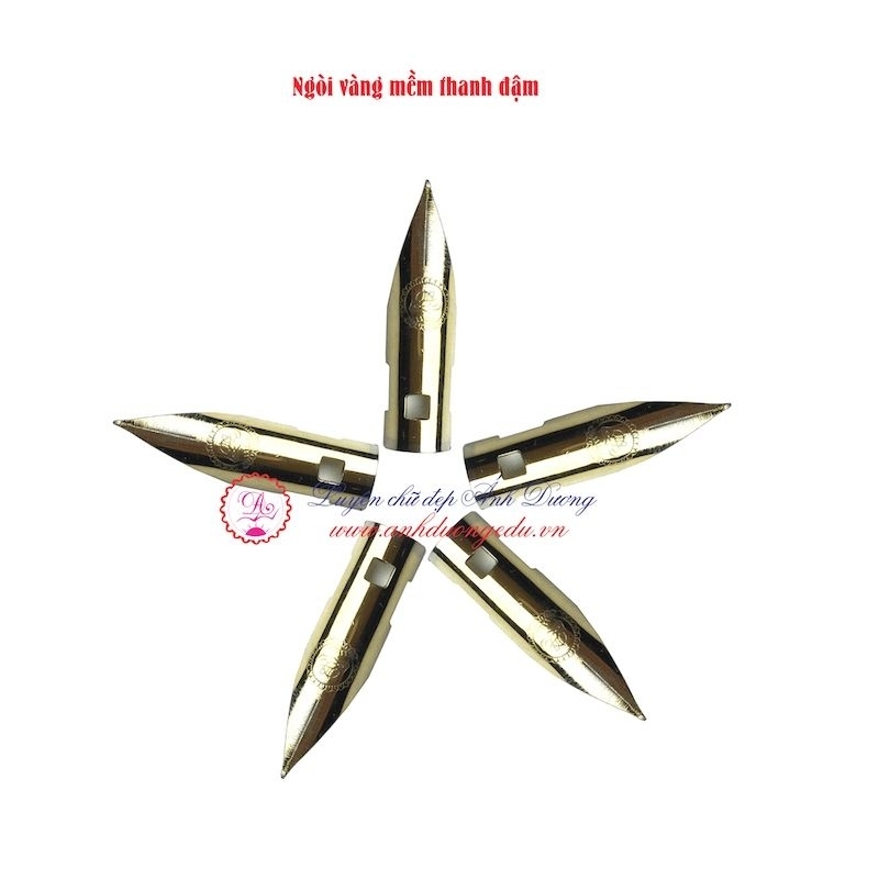 Sét 5 Ngòi Vàng Bút Mài Thầy Ánh