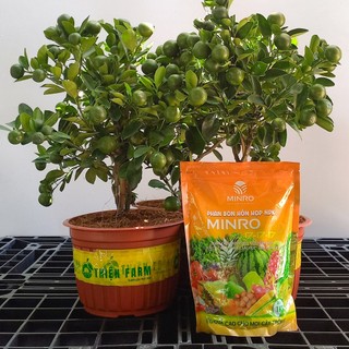 Phân bón NPK 17-17-17 THIỆN FARM (túi 1kg) giúp cải tạo cây, bung chồi, nhú đọt, dinh dưỡng cân bằng