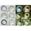 LENS NGẪU NHIÊN (được chọn độ cận)