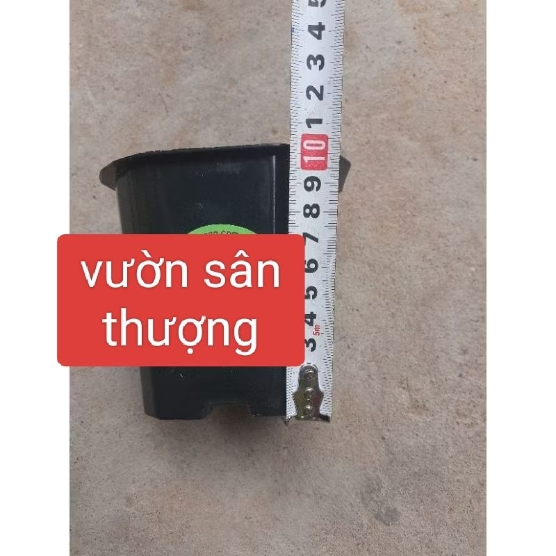 Set 20 Chậu Vuông Đen 11x10 cm, Dày, Dẻo, Nhiều Lỗ Thoát Nước