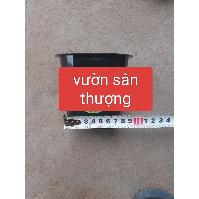 Set 20 Chậu Vuông Đen 11x10 cm, Dày, Dẻo, Nhiều Lỗ Thoát Nước