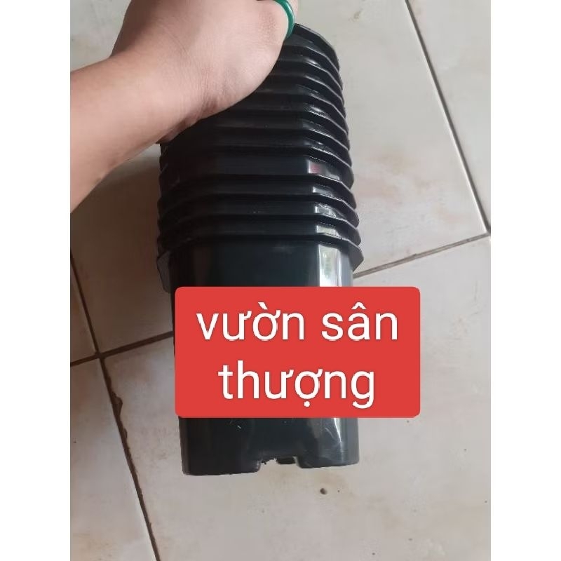 Set 20 Chậu Vuông Đen 11x10 cm, Dày, Dẻo, Nhiều Lỗ Thoát Nước