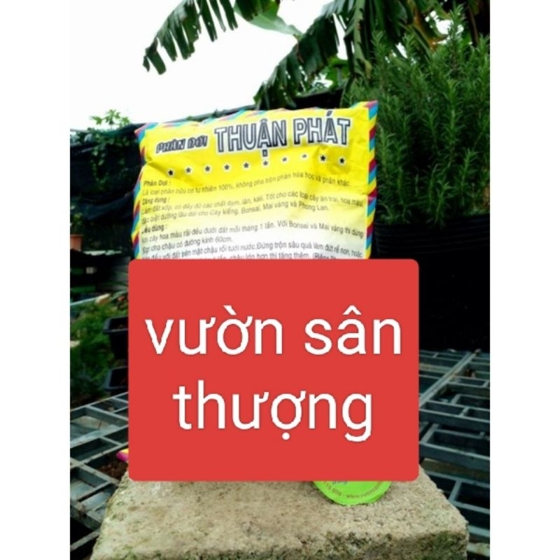 Phân Dơi Thuận Phát Gói 150g, Tốt Cho Các Loại Cây Ăn Trái, Hoa Màu, Cây Kiểng, Bonsai, Mai Vàng, Phong Lan