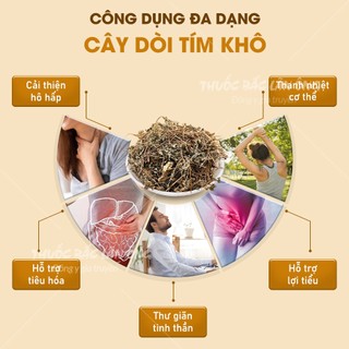 Cây dòi thân tím 1kg, cây bọ mắm khô, trà bọ mắm, thơm, sạch - Lãn Ông