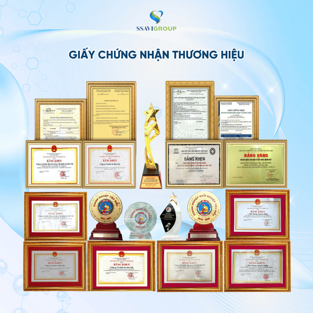 Trà sâm bảo vệ tim mạch giảm mỡ  tăng cường miễn dịch trà sâm sấy khô thành phần Sa Sâm Việt [1 lọ 25g ]
