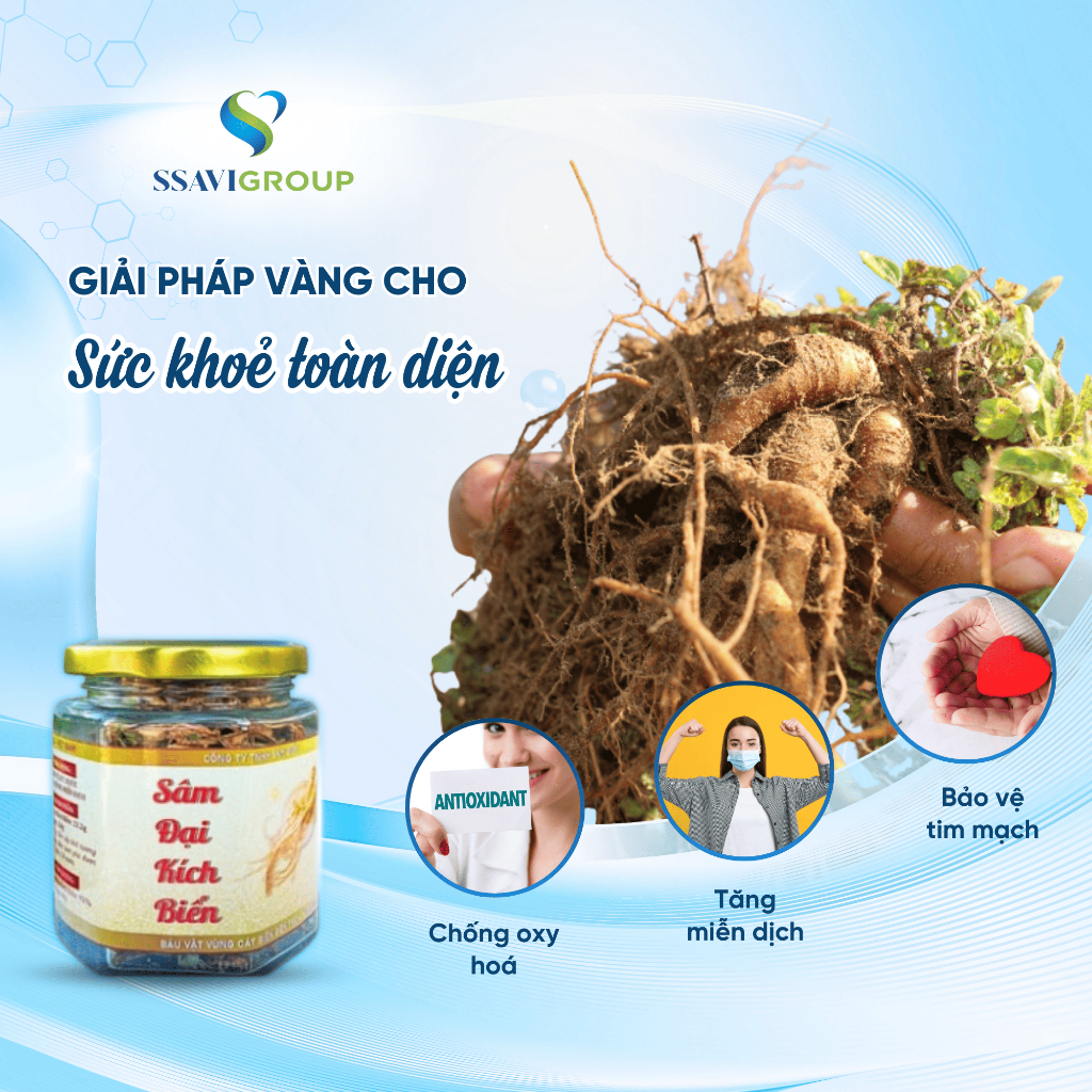 Trà sâm bảo vệ tim mạch giảm mỡ  tăng cường miễn dịch trà sâm sấy khô thành phần Sa Sâm Việt [1 lọ 25g ]