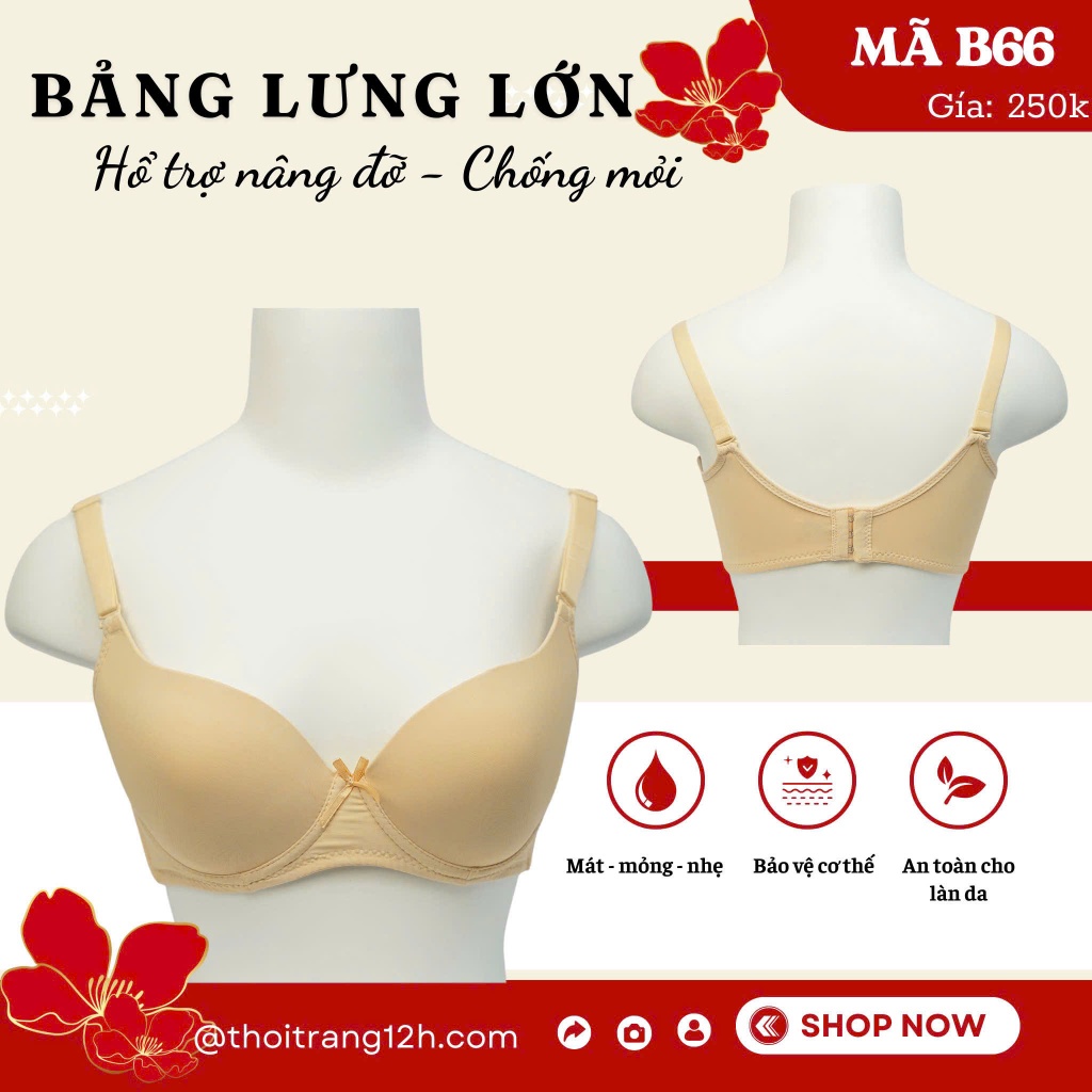 áo ngực mút mỏng ,áo mút mỏng nâng ngực ,áo lót mút mỏng .áo ngực mút mỏng 03 khuy nâng đở ngực,đồ lót 12h