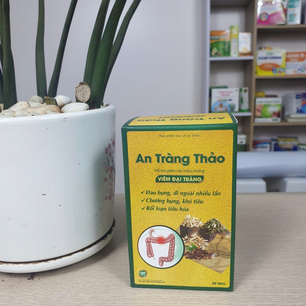 An Tràng Thảo, hỗ trợ giảm đau bụng, đi ngoài nhiều lần, chướng bụng, cải thiện viêm đại tràng