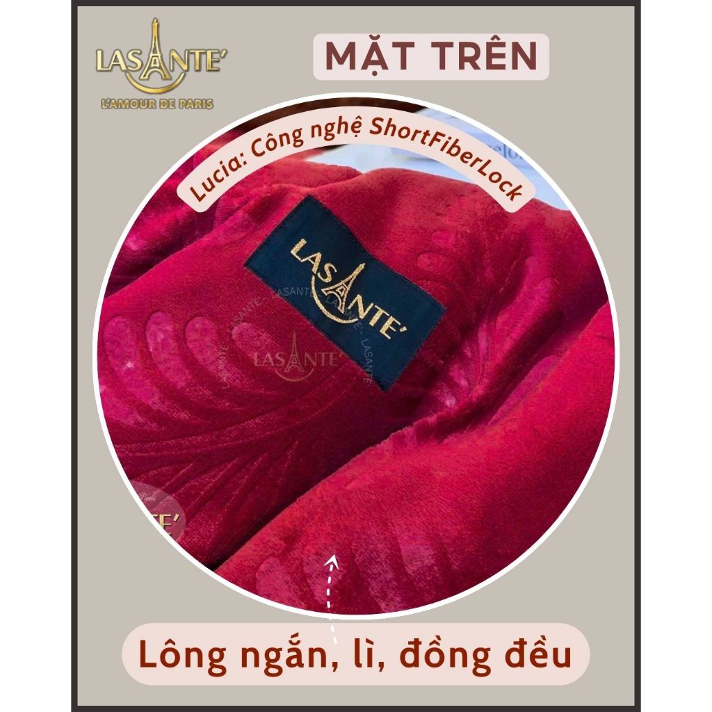 Ảnh Chăn Lông Cừu Nhỏ 1m6 X 2m2 Cho Mùa Đông Đại Hàn 1 Người  Lasante, Bảo Hành Chính Hãng Kèm Túi 2