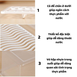 Hộp đựng thực phẩm có khay hứng thoát nước, hộp lưu trữ thức ăn nhựa trắng trong suốt Việt Nhật 6586