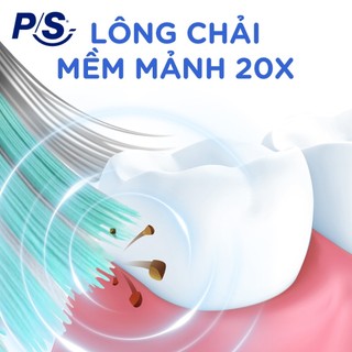 [LIVE] Bộ 4/6 bàn chải đánh răng P/S 4D