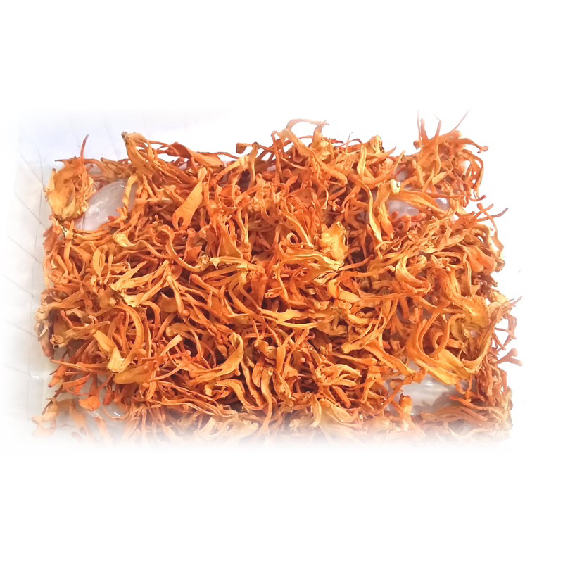 500GR Đông Trùng Hạ Thảo Sấy Khô Thăng Hoa Giúp Giảm Căng Thẳng Mệt Mỏi